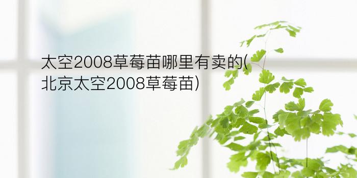 太空2008草莓苗哪里有卖的(北京太空2008草莓苗)