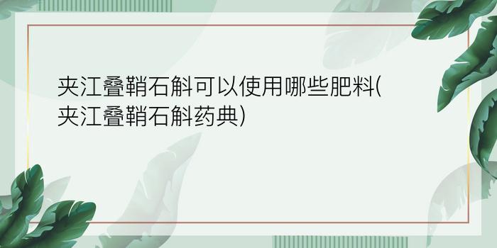 夹江叠鞘石斛可以使用哪些肥料(夹江叠鞘石斛药典)