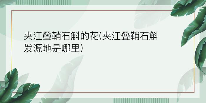 夹江叠鞘石斛的花(夹江叠鞘石斛发源地是哪里)