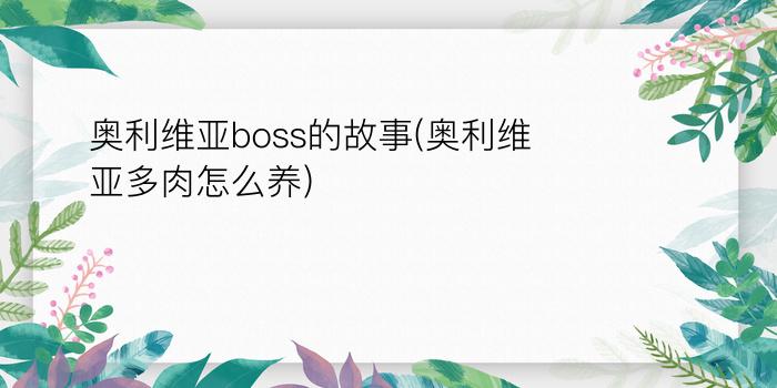 奥利维亚boss的故事(奥利维亚多肉怎么养)