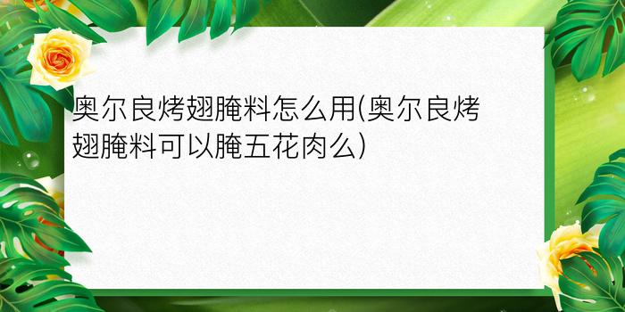 奥尔良烤翅腌料怎么用(奥尔良烤翅腌料可以腌五花肉么?)