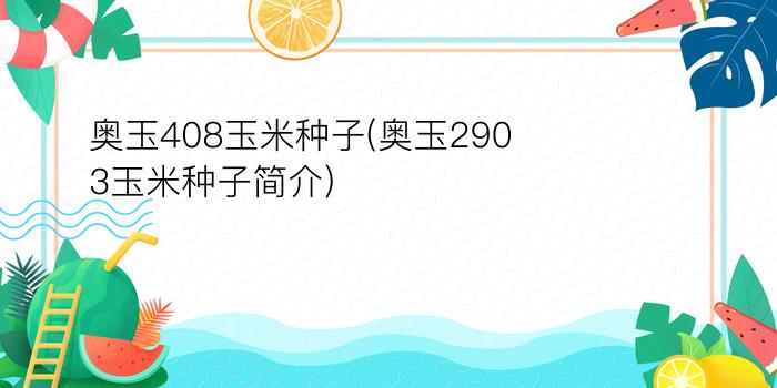 奥玉408玉米种子(奥玉2903玉米种子简介)