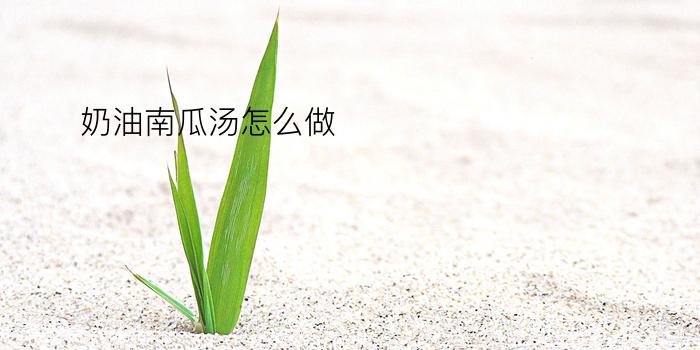 奶油南瓜汤怎么做