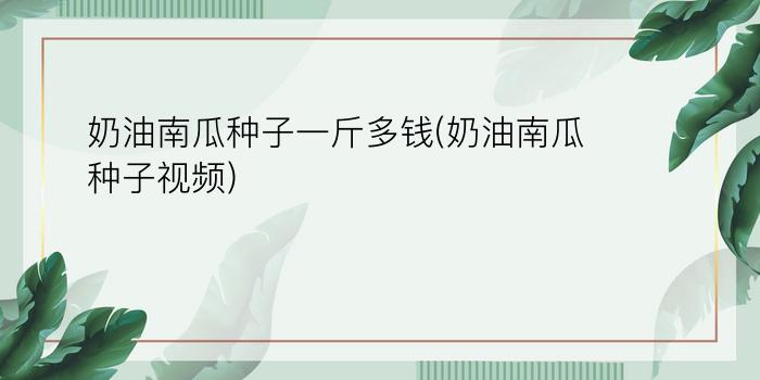 奶油南瓜种子一斤多钱(奶油南瓜种子视频)