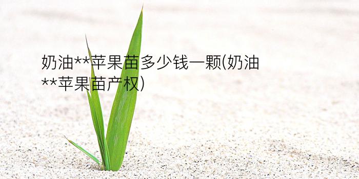 奶油**苹果苗多少钱一颗(奶油**苹果苗产权)