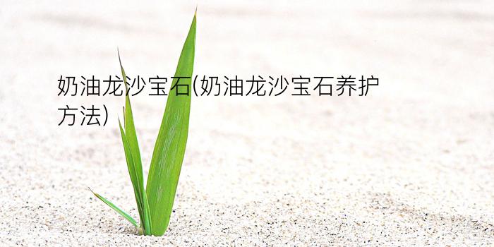 奶油龙沙宝石(奶油龙沙宝石养护方法)