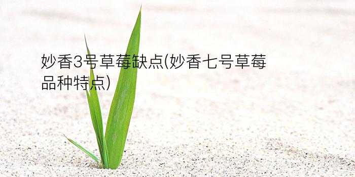 妙香3号草莓缺点(妙香七号草莓品种特点)