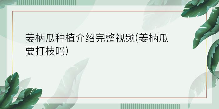 姜柄瓜种植介绍完整视频(姜柄瓜要打枝吗)