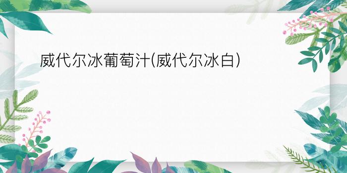 威代尔冰葡萄汁(威代尔冰白)