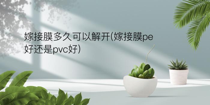 嫁接膜多久可以解开(嫁接膜pe好还是pvc好)