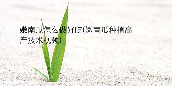 嫩南瓜怎么做好吃(嫩南瓜种植高产技术视频)