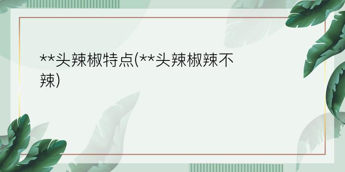 **头辣椒特点(**头辣椒辣不辣)