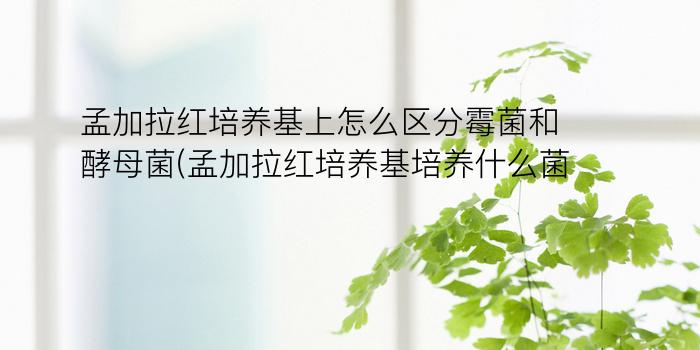 孟加拉红培养基上怎么区分霉菌和酵母菌?(孟加拉红培养基培养什么菌)