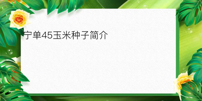 宁单45玉米种子简介