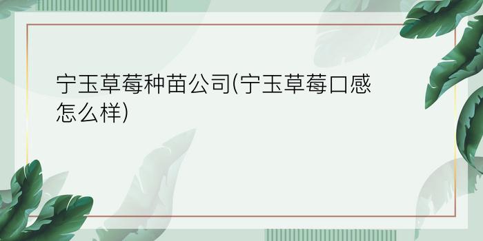 宁玉草莓种苗公司(宁玉草莓口感怎么样)