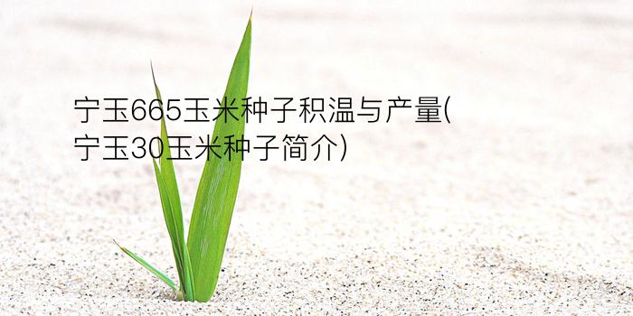 宁玉665玉米种子积温与产量(宁玉30玉米种子简介)