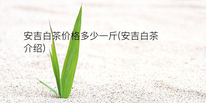 安吉白茶价格多少一斤(安吉白茶介绍)