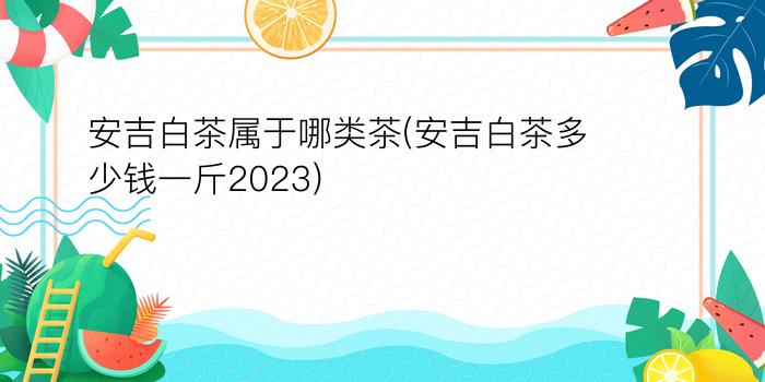 安吉白茶属于哪类茶(安吉白茶多少钱一斤2023)