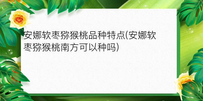 安娜软枣猕猴桃品种特点(安娜软枣猕猴桃南方可以种吗)