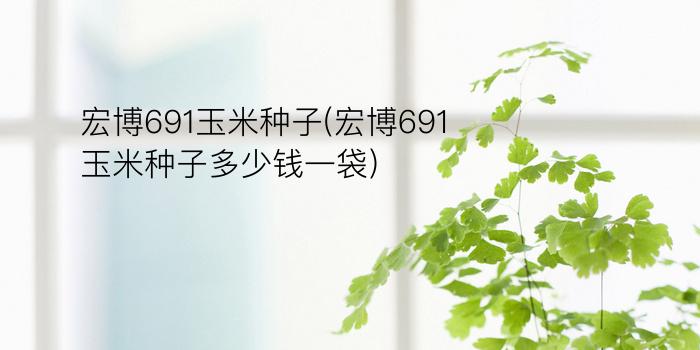 宏博691玉米种子(宏博691玉米种子多少钱一袋)