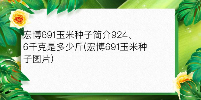 宏博691玉米种子简介924、6千克是多少斤(宏博691玉米种子图片)