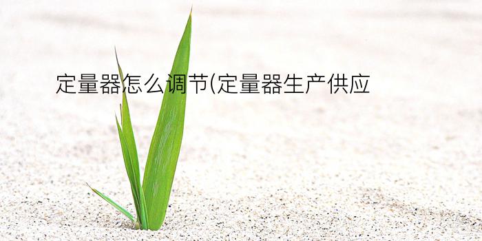 定量器怎么调节(定量器生产供应)