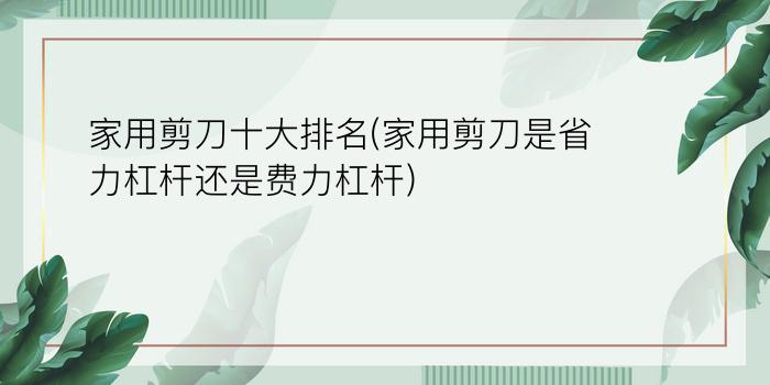 家用剪刀十大排名(家用剪刀是省力杠杆还是费力杠杆?)