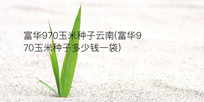 富华970玉米种子云南(富华970玉米种子多少钱一袋)