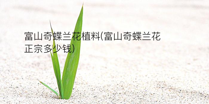 富山奇蝶兰花植料(富山奇蝶兰花正宗多少钱)