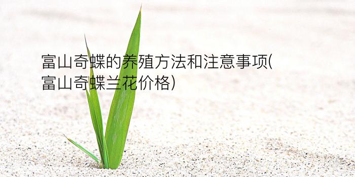 富山奇蝶的养殖方法和注意事项(富山奇蝶兰花价格)