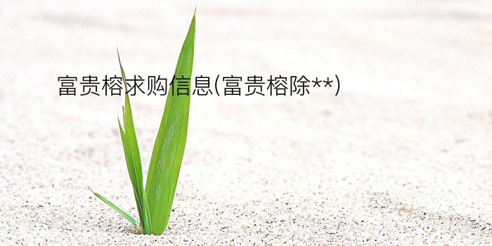 富贵榕求购信息(富贵榕除**)