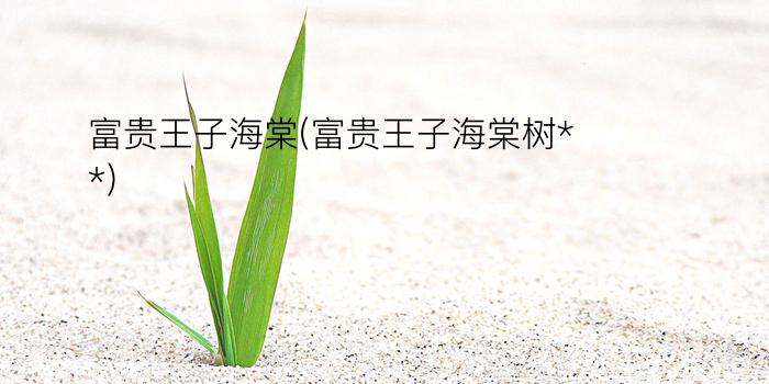 富贵王子海棠(富贵王子海棠树**)