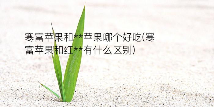 寒富苹果和**苹果哪个好吃(寒富苹果和红**有什么区别)