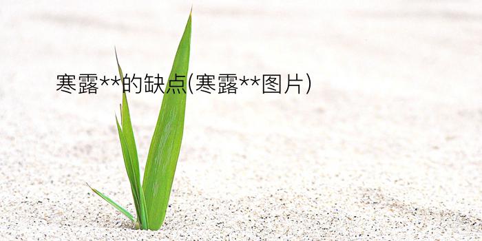 寒露**的缺点(寒露**图片)