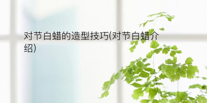 对节白蜡的造型技巧(对节白蜡介绍)