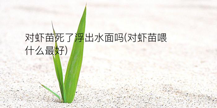 对虾苗死了浮出水面吗(对虾苗喂什么最好)