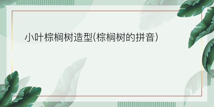 小叶棕榈树造型(棕榈树的拼音)