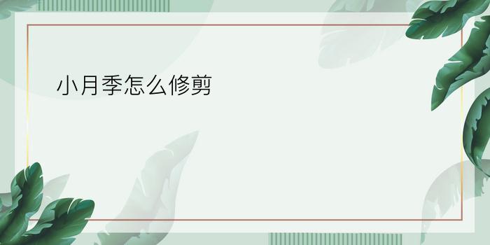 小月季怎么修剪