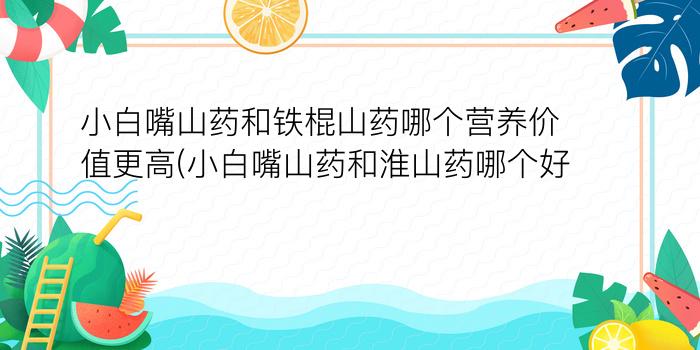 小白嘴山药和铁棍山药哪个营养价值更高(小白嘴山药和淮山药哪个好)