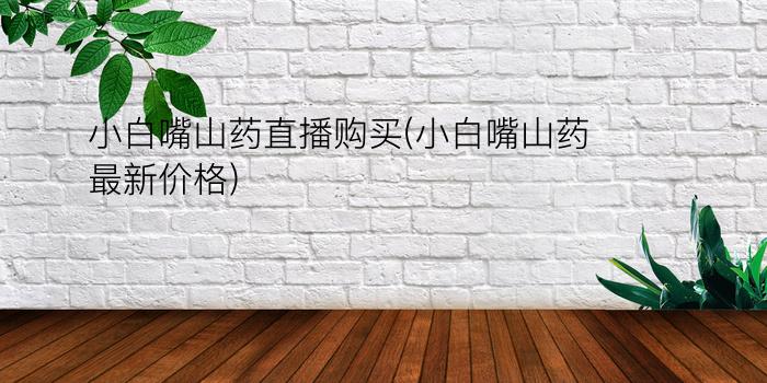 小白嘴山药直播购买(小白嘴山药最新价格)