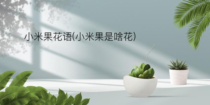 小米果花语(小米果是啥花)