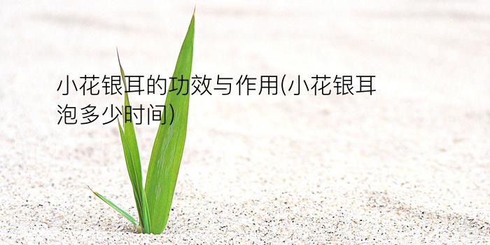 小花银耳的功效与作用(小花银耳泡多少时间)