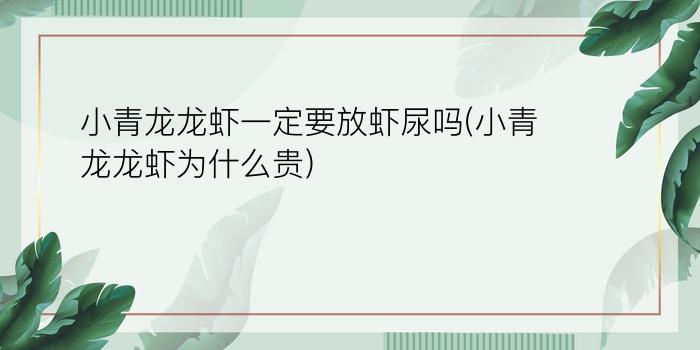 小青龙龙虾一定要放虾尿吗(小青龙龙虾为什么贵)