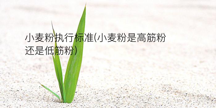 小麦粉执行标准(小麦粉是高筋粉还是低筋粉)