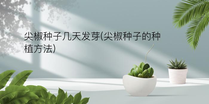 尖椒种子几天发芽(尖椒种子的种植方法)