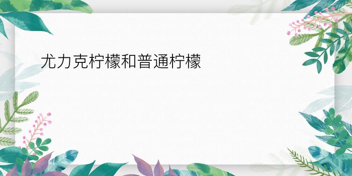 尤力克柠檬和普通柠檬