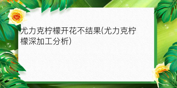 尤力克柠檬开花不结果(尤力克柠檬深加工分析)