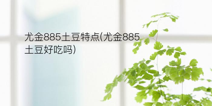 尤金885土豆特点(尤金885土豆好吃吗)