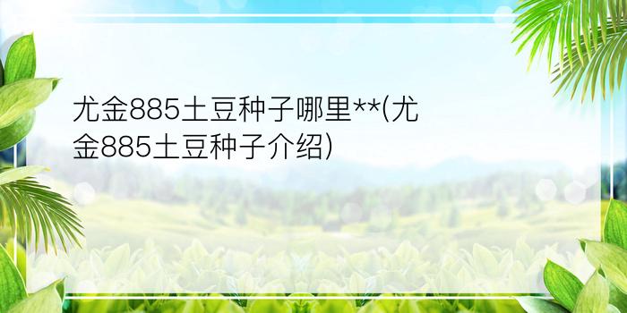 尤金885土豆种子哪里**(尤金885土豆种子介绍)