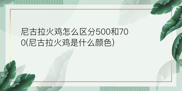 尼古拉火鸡怎么区分500和700(尼古拉火鸡是什么颜色)